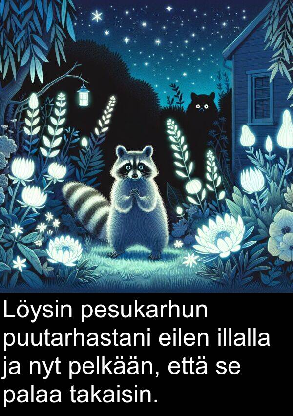 pesukarhun: Löysin pesukarhun puutarhastani eilen illalla ja nyt pelkään, että se palaa takaisin.