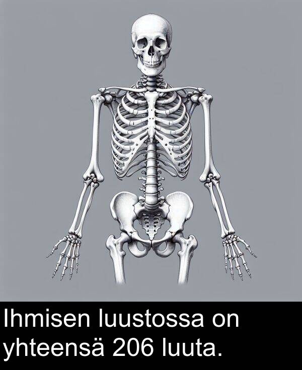 yhteensä: Ihmisen luustossa on yhteensä 206 luuta.