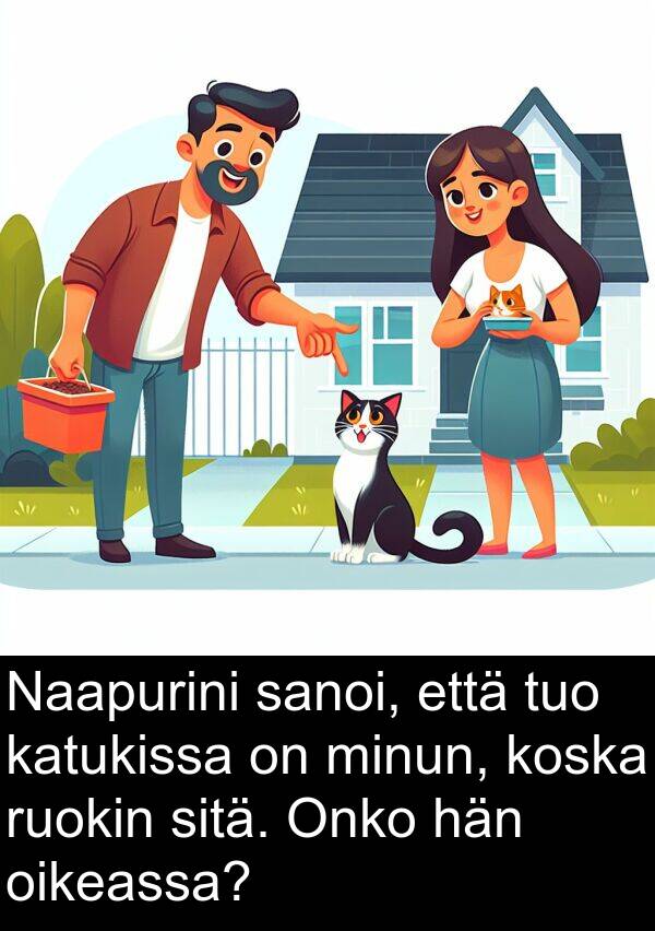 oikeassa: Naapurini sanoi, että tuo katukissa on minun, koska ruokin sitä. Onko hän oikeassa?