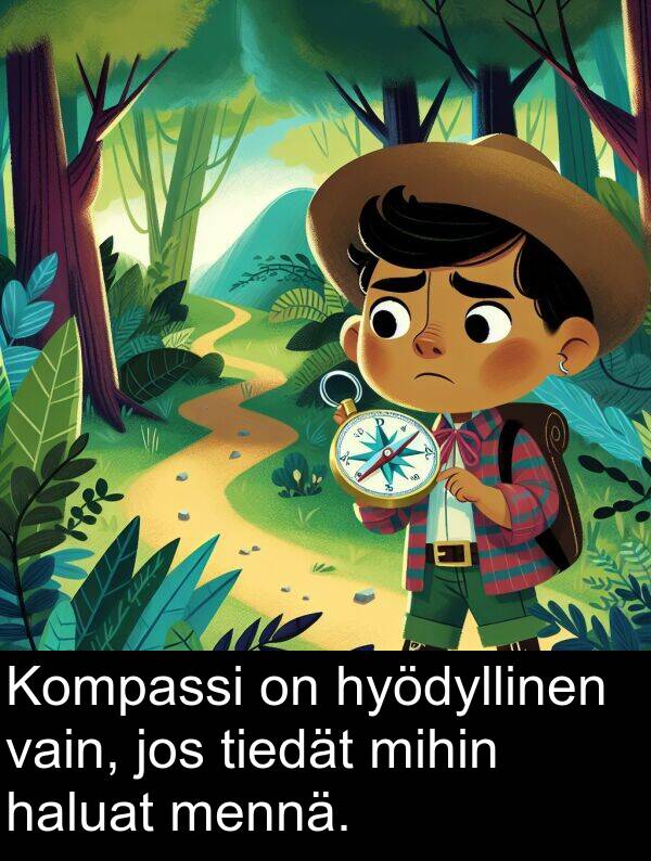 haluat: Kompassi on hyödyllinen vain, jos tiedät mihin haluat mennä.