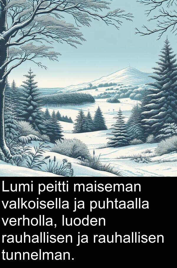 peitti: Lumi peitti maiseman valkoisella ja puhtaalla verholla, luoden rauhallisen ja rauhallisen tunnelman.