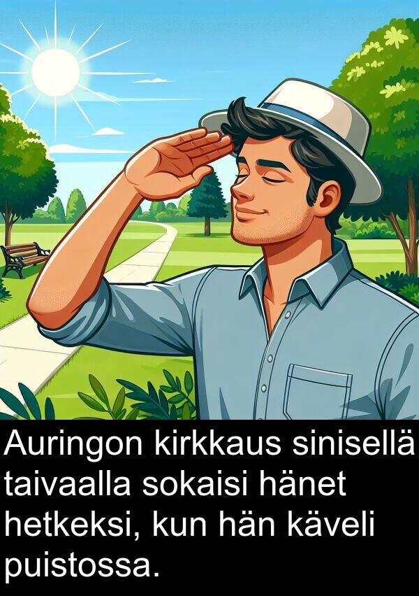 sokaisi: Auringon kirkkaus sinisellä taivaalla sokaisi hänet hetkeksi, kun hän käveli puistossa.