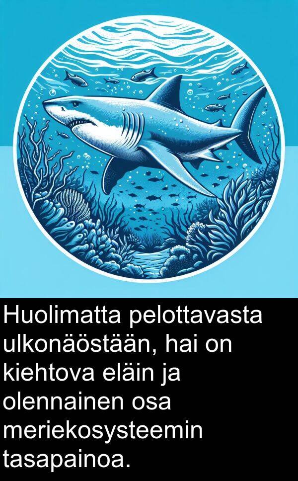 hai: Huolimatta pelottavasta ulkonäöstään, hai on kiehtova eläin ja olennainen osa meriekosysteemin tasapainoa.