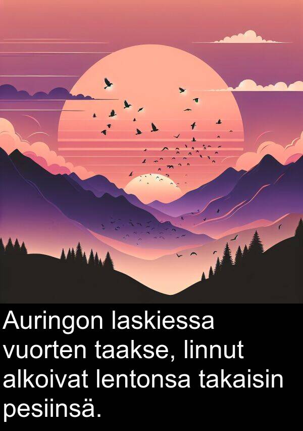 pesiinsä: Auringon laskiessa vuorten taakse, linnut alkoivat lentonsa takaisin pesiinsä.