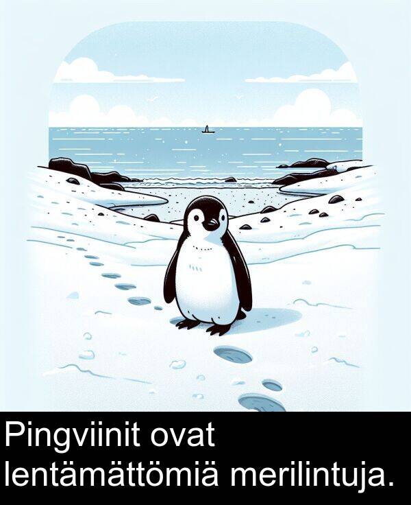 ovat: Pingviinit ovat lentämättömiä merilintuja.