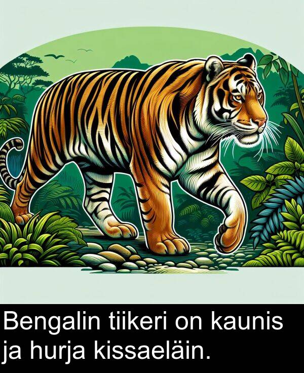 kaunis: Bengalin tiikeri on kaunis ja hurja kissaeläin.