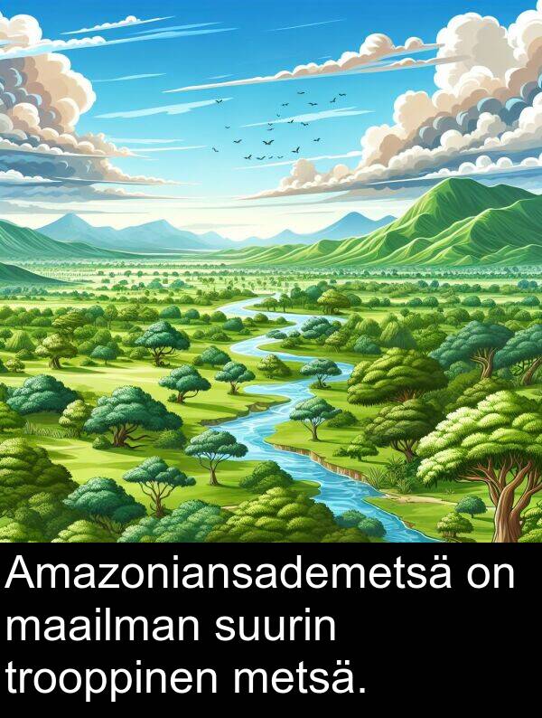 maailman: Amazoniansademetsä on maailman suurin trooppinen metsä.