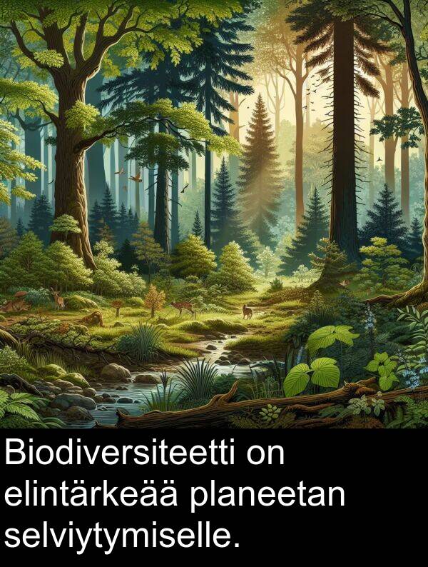 planeetan: Biodiversiteetti on elintärkeää planeetan selviytymiselle.