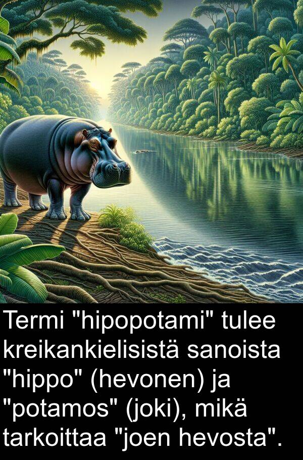 kreikankielisistä: Termi "hipopotami" tulee kreikankielisistä sanoista "hippo" (hevonen) ja "potamos" (joki), mikä tarkoittaa "joen hevosta".