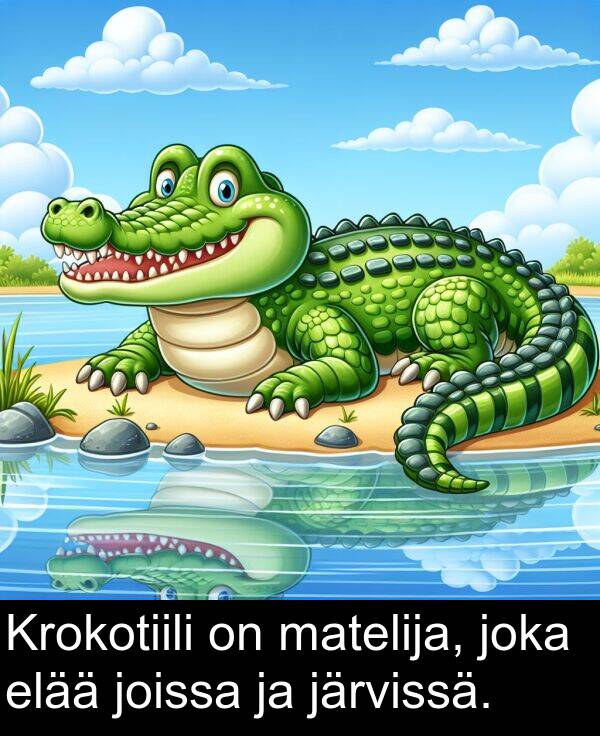 elää: Krokotiili on matelija, joka elää joissa ja järvissä.