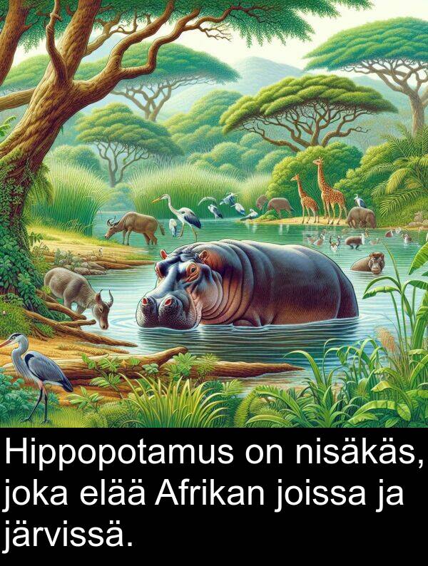 elää: Hippopotamus on nisäkäs, joka elää Afrikan joissa ja järvissä.