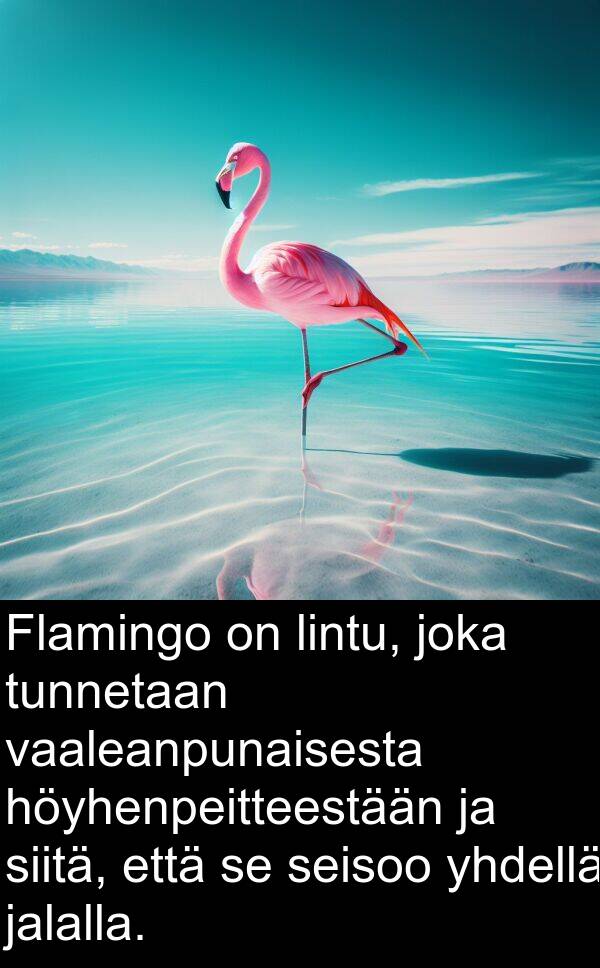 vaaleanpunaisesta: Flamingo on lintu, joka tunnetaan vaaleanpunaisesta höyhenpeitteestään ja siitä, että se seisoo yhdellä jalalla.