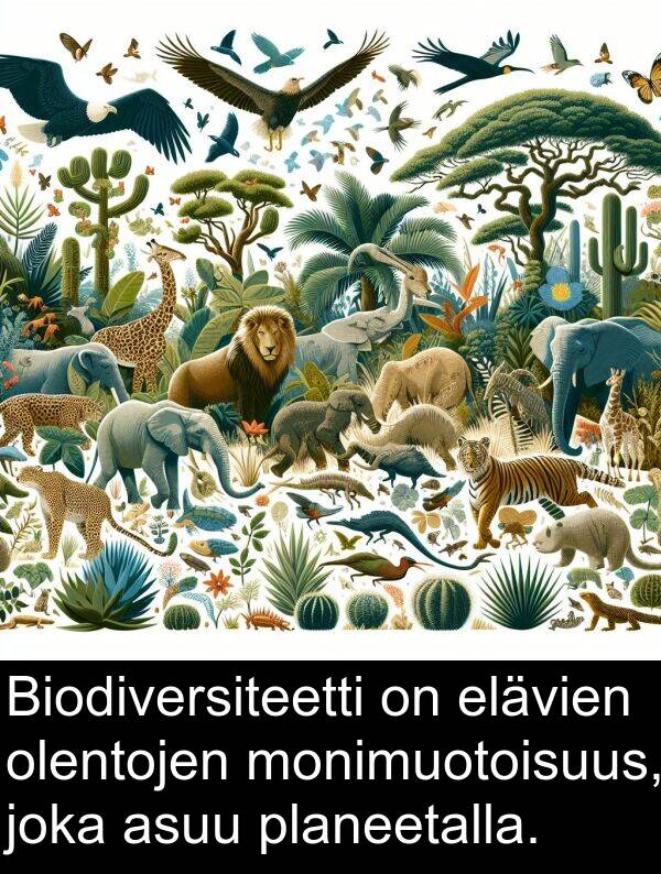 elävien: Biodiversiteetti on elävien olentojen monimuotoisuus, joka asuu planeetalla.