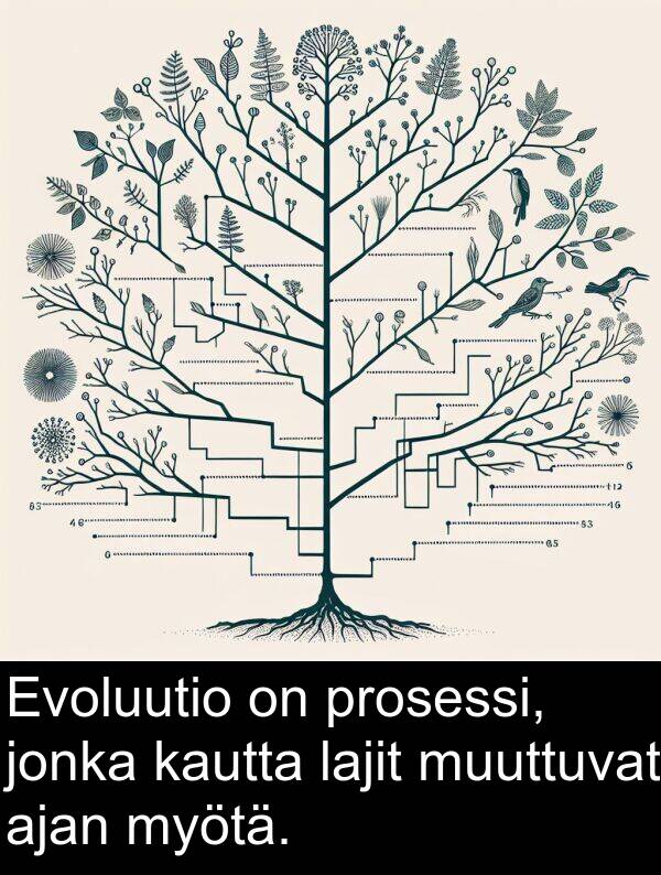 jonka: Evoluutio on prosessi, jonka kautta lajit muuttuvat ajan myötä.