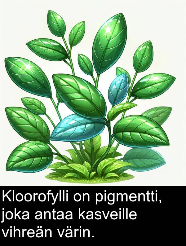 pigmentti: Kloorofylli on pigmentti, joka antaa kasveille vihreän värin.