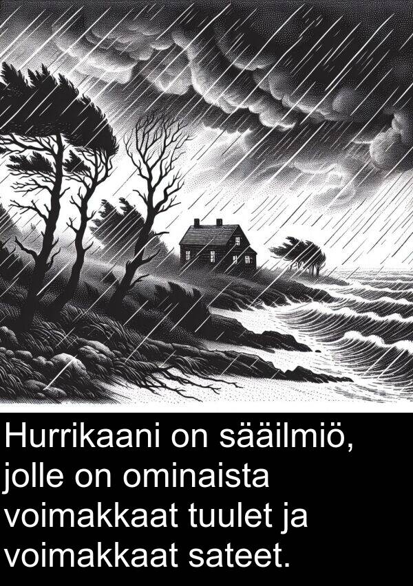 sääilmiö: Hurrikaani on sääilmiö, jolle on ominaista voimakkaat tuulet ja voimakkaat sateet.