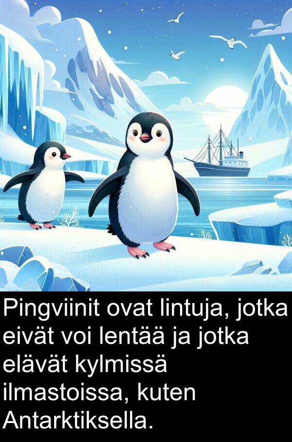 eivät: Pingviinit ovat lintuja, jotka eivät voi lentää ja jotka elävät kylmissä ilmastoissa, kuten Antarktiksella.