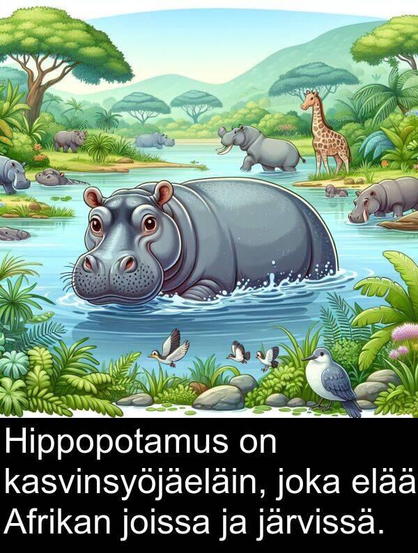 elää: Hippopotamus on kasvinsyöjäeläin, joka elää Afrikan joissa ja järvissä.