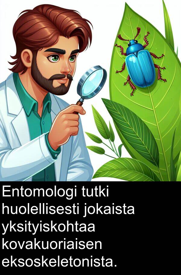 jokaista: Entomologi tutki huolellisesti jokaista yksityiskohtaa kovakuoriaisen eksoskeletonista.