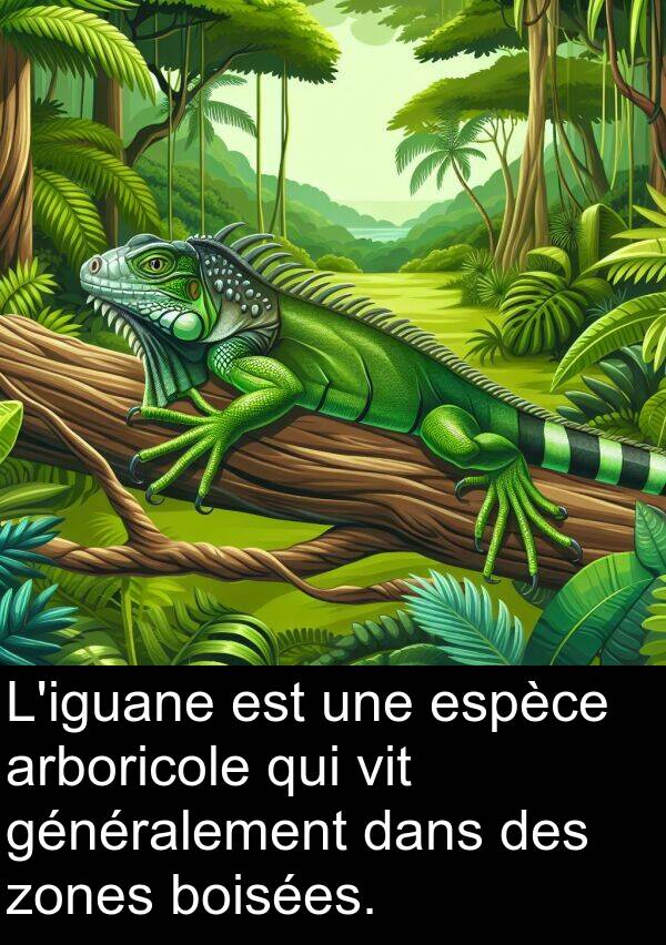 vit: L'iguane est une espèce arboricole qui vit généralement dans des zones boisées.