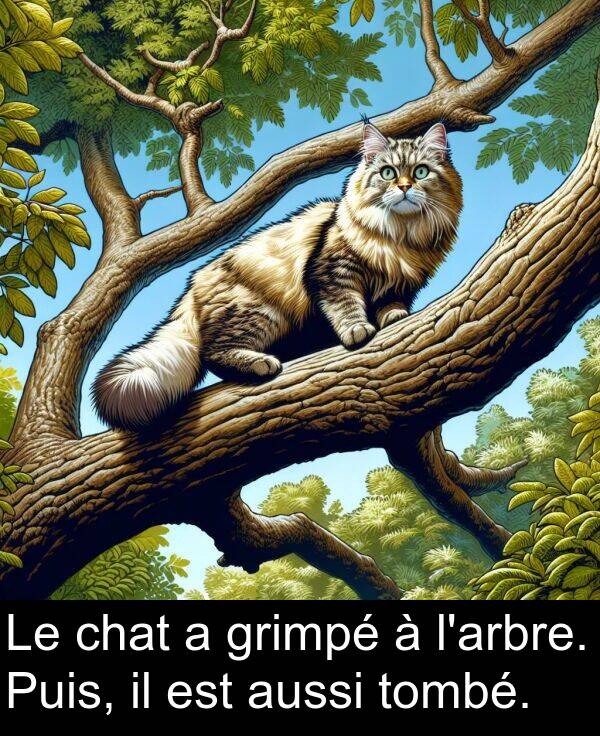 aussi: Le chat a grimpé à l'arbre. Puis, il est aussi tombé.