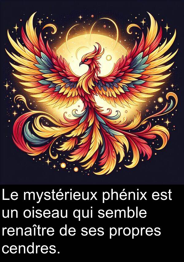 oiseau: Le mystérieux phénix est un oiseau qui semble renaître de ses propres cendres.