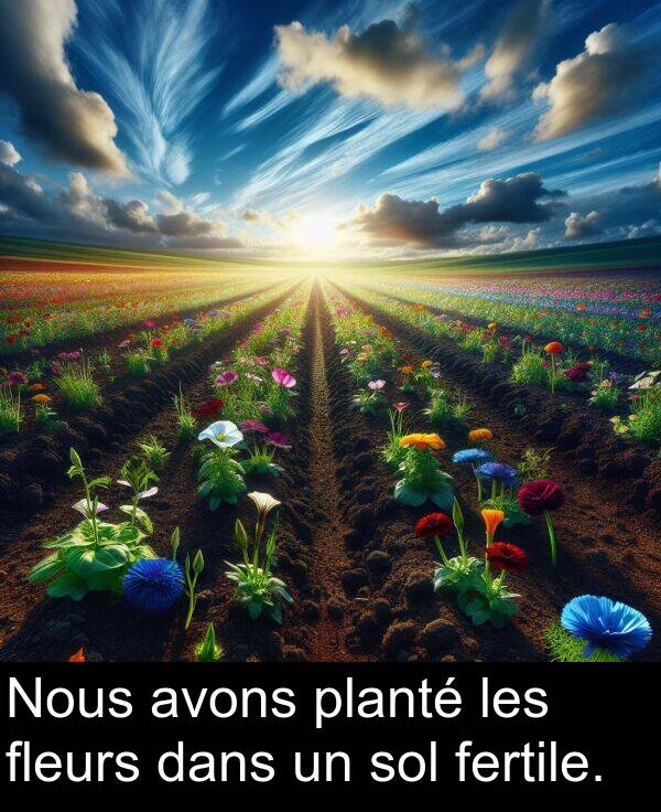 fertile: Nous avons planté les fleurs dans un sol fertile.