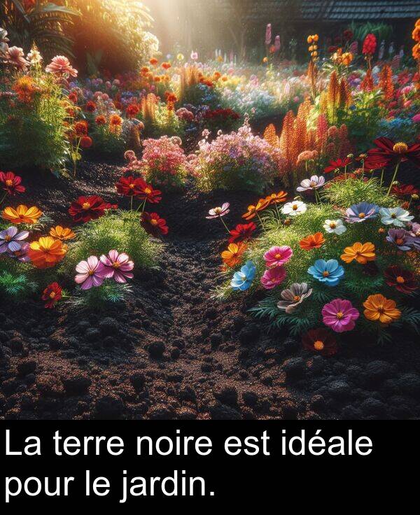 terre: La terre noire est idéale pour le jardin.