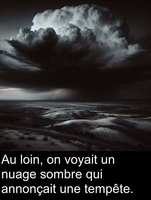 voyait: Au loin, on voyait un nuage sombre qui annonçait une tempête.