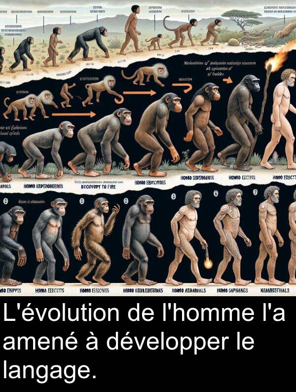 amené: L'évolution de l'homme l'a amené à développer le langage.