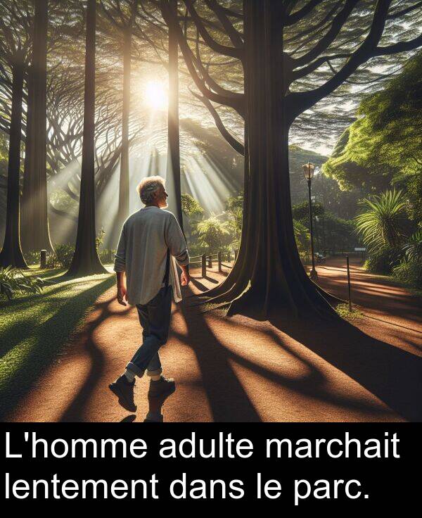 adulte: L'homme adulte marchait lentement dans le parc.