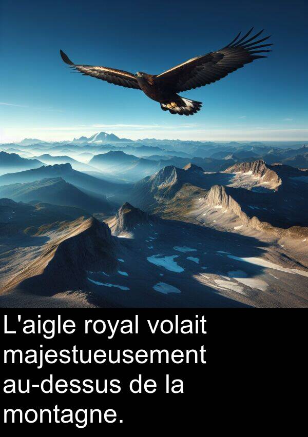 montagne: L'aigle royal volait majestueusement au-dessus de la montagne.