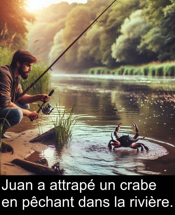 attrapé: Juan a attrapé un crabe en pêchant dans la rivière.