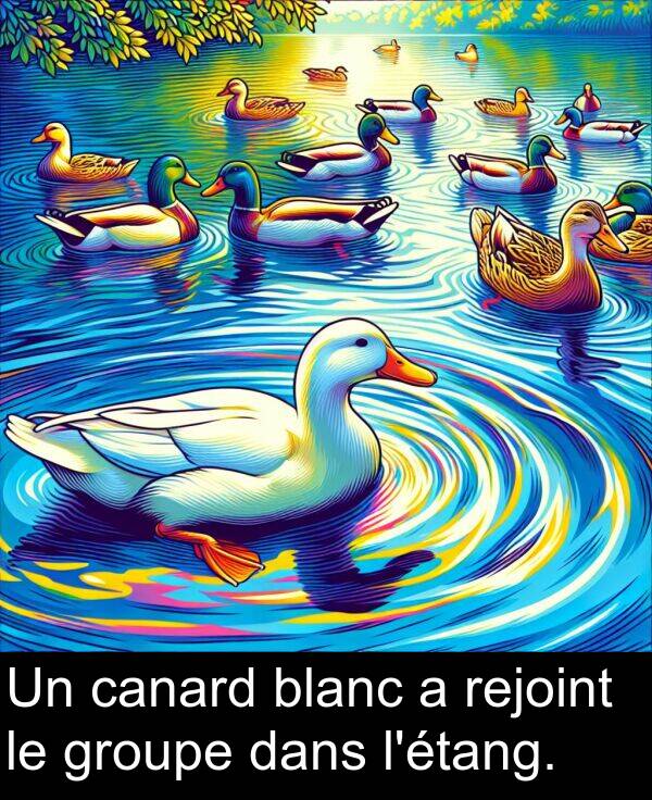 blanc: Un canard blanc a rejoint le groupe dans l'étang.