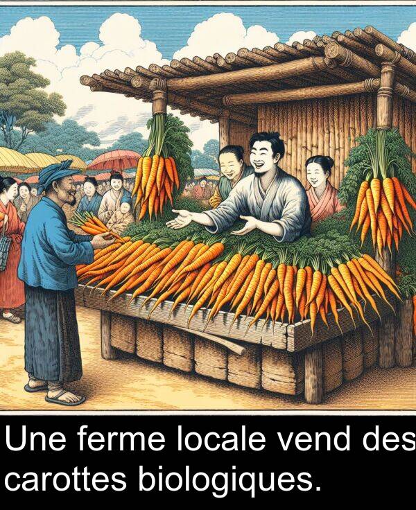 ferme: Une ferme locale vend des carottes biologiques.