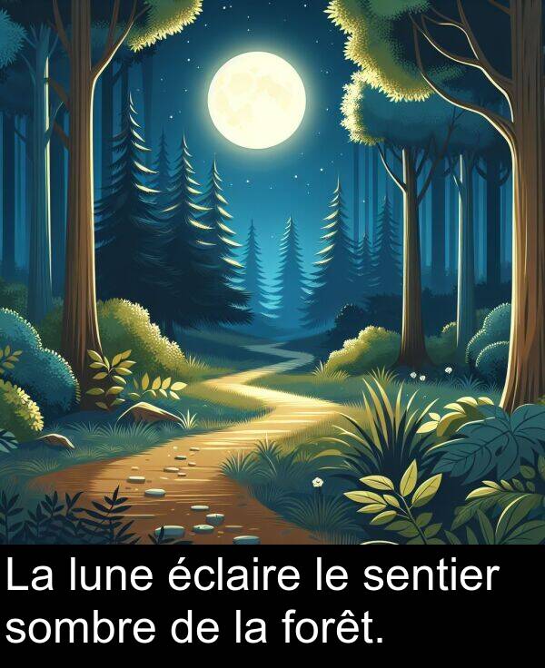 forêt: La lune éclaire le sentier sombre de la forêt.