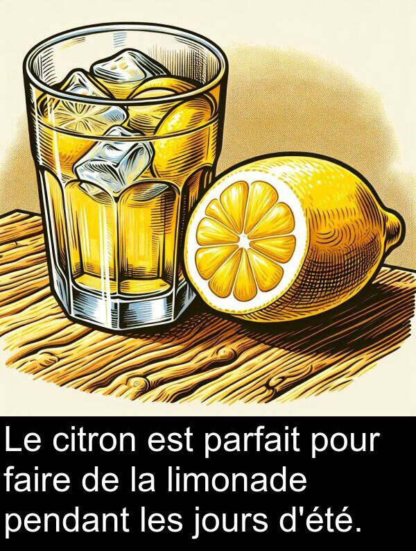 faire: Le citron est parfait pour faire de la limonade pendant les jours d'été.