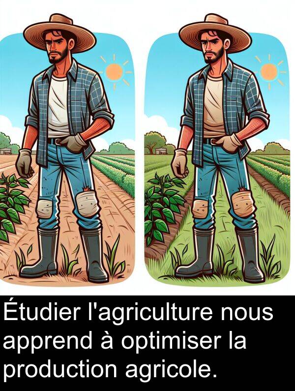 agricole: Étudier l'agriculture nous apprend à optimiser la production agricole.