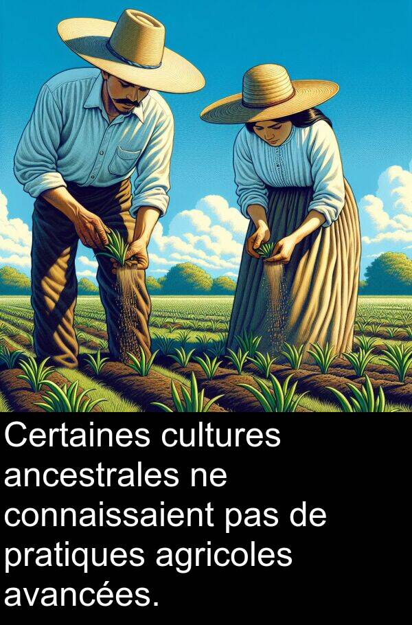 ancestrales: Certaines cultures ancestrales ne connaissaient pas de pratiques agricoles avancées.