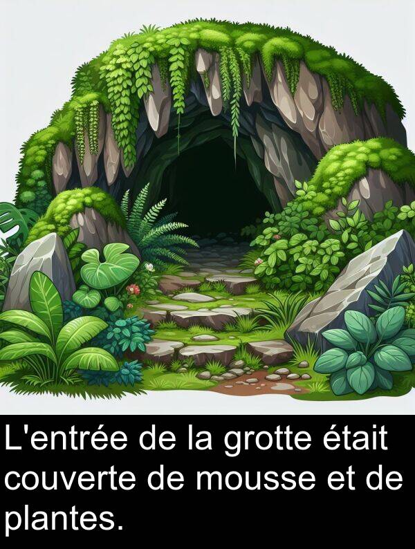 plantes: L'entrée de la grotte était couverte de mousse et de plantes.