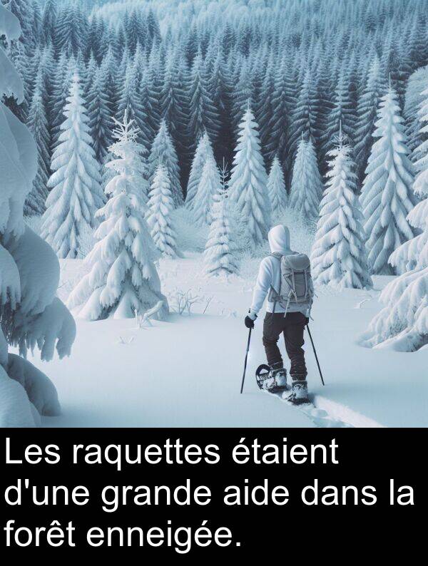 grande: Les raquettes étaient d'une grande aide dans la forêt enneigée.