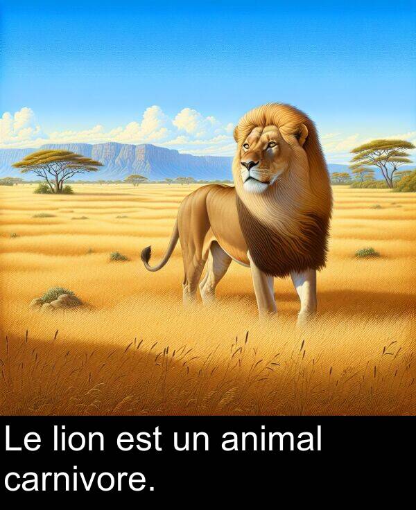 lion: Le lion est un animal carnivore.