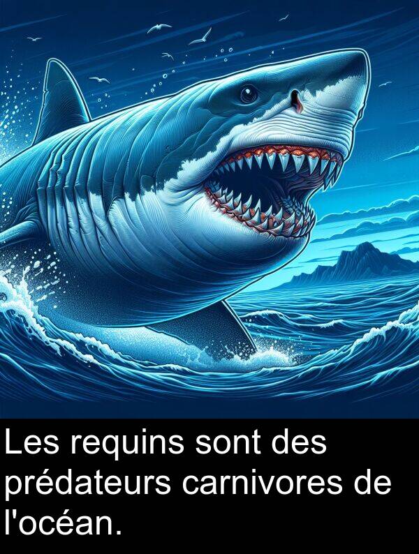 prédateurs: Les requins sont des prédateurs carnivores de l'océan.