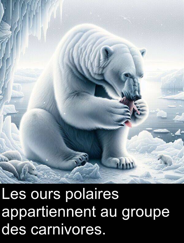 appartiennent: Les ours polaires appartiennent au groupe des carnivores.