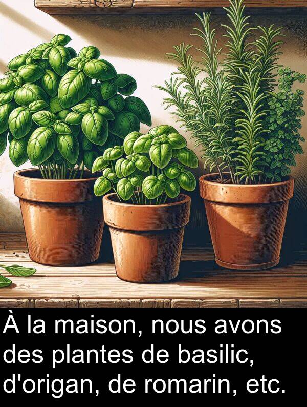 maison: À la maison, nous avons des plantes de basilic, d'origan, de romarin, etc.