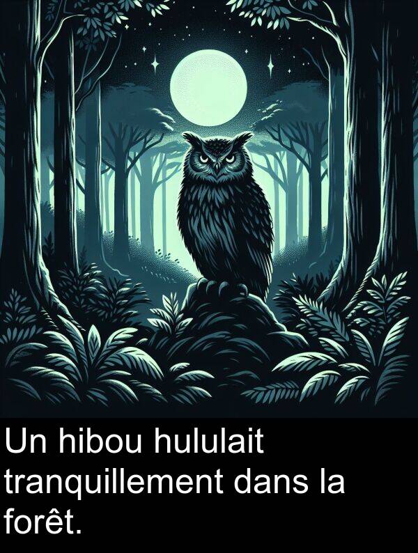 forêt: Un hibou hululait tranquillement dans la forêt.