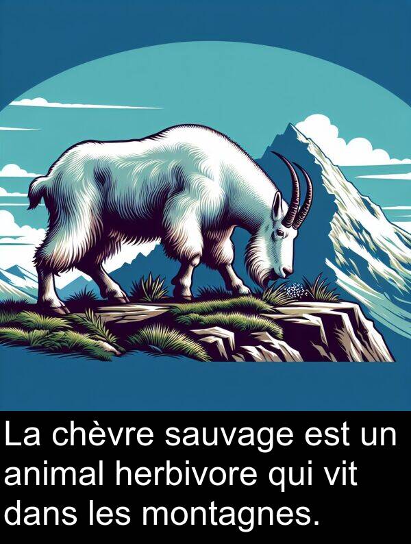 vit: La chèvre sauvage est un animal herbivore qui vit dans les montagnes.