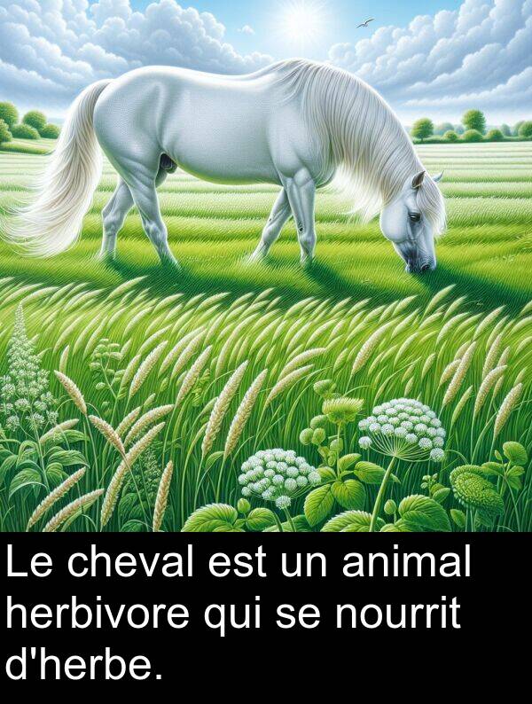 qui: Le cheval est un animal herbivore qui se nourrit d'herbe.