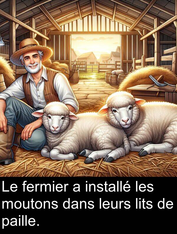 fermier: Le fermier a installé les moutons dans leurs lits de paille.