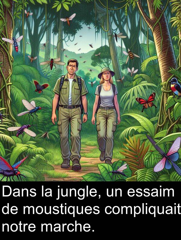 marche: Dans la jungle, un essaim de moustiques compliquait notre marche.